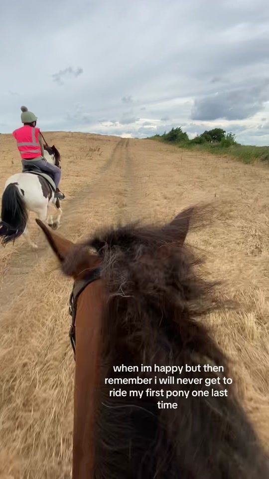 TikTok video thumbnail by rosiethewelsh