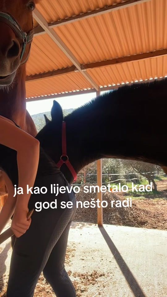 TikTok video thumbnail by ranch_reful