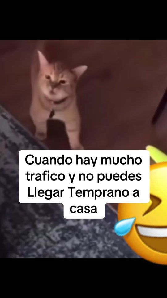 TikTok video thumbnail by tucaramelitot