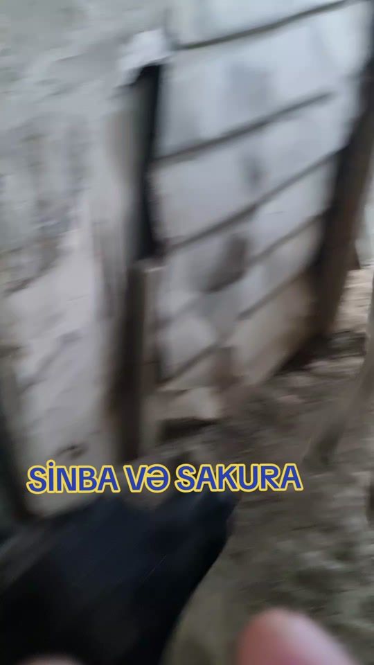 TikTok video thumbnail by abbass.546