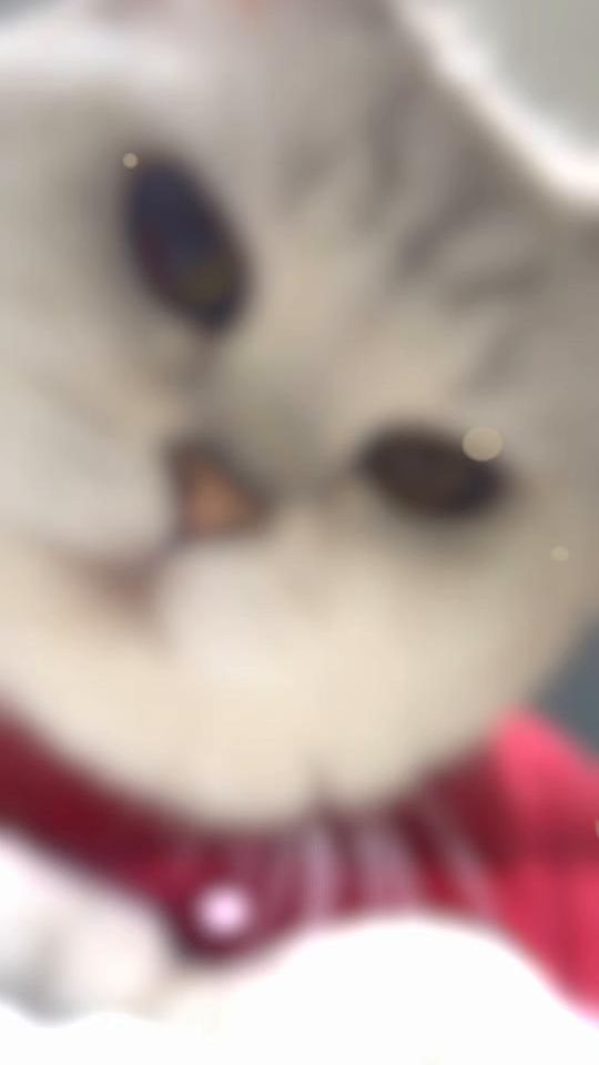 TikTok video thumbnail by _____.786._____