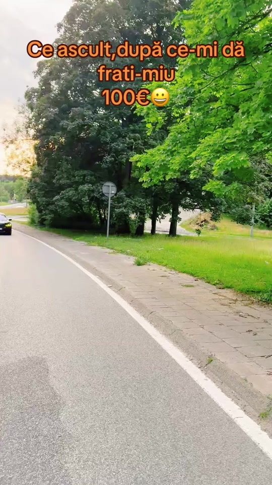 TikTok video thumbnail by woolf_black7