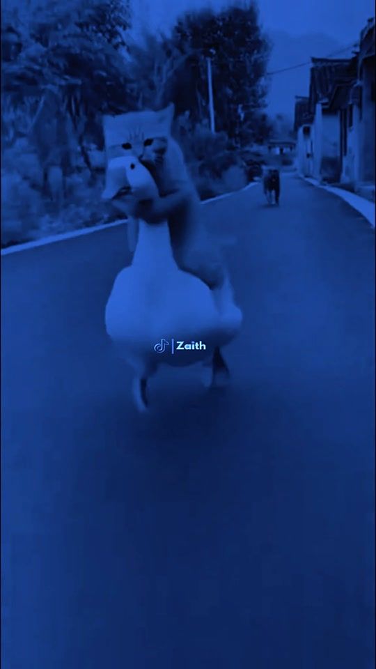 TikTok video thumbnail by zaithlyrics