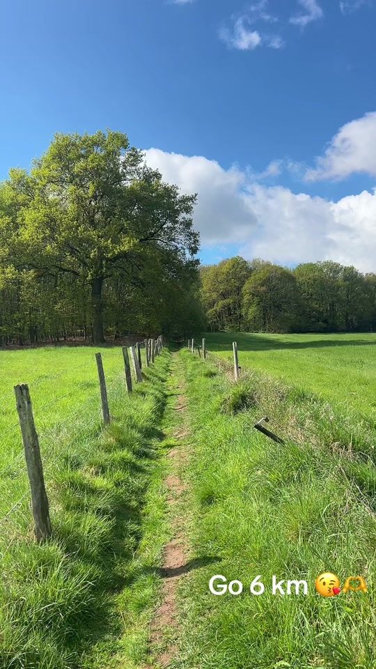 TikTok video thumbnail by jwonder01