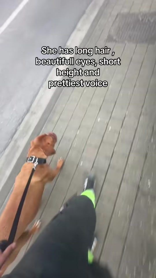TikTok video thumbnail by discodrivernico