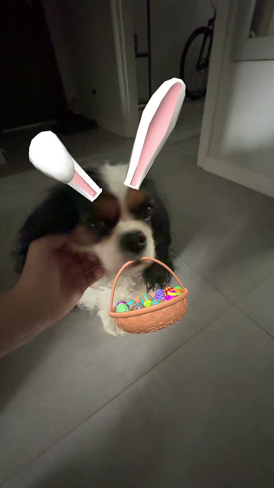 TikTok video thumbnail by olszabyk