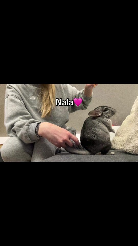 TikTok video thumbnail by beganovicsara