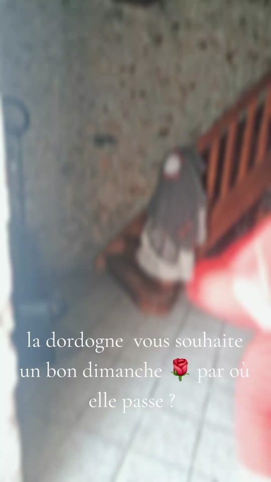 TikTok video thumbnail by liloute636