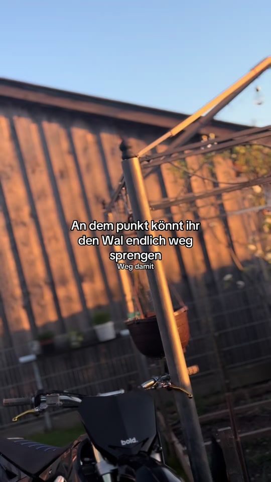TikTok video thumbnail by d.a.pfuscha