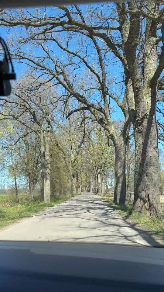 TikTok video thumbnail by bartekzdrowy_nefretete