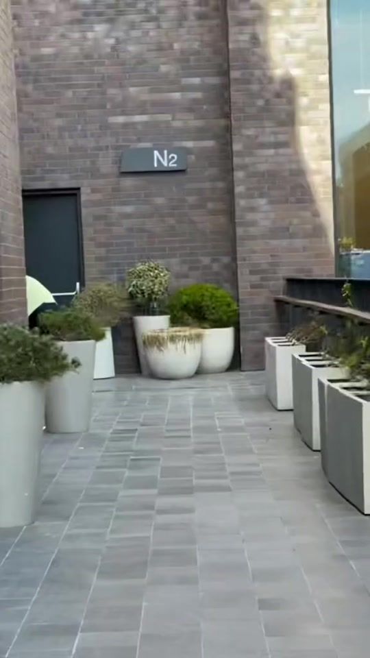 TikTok video thumbnail by nike.niku56