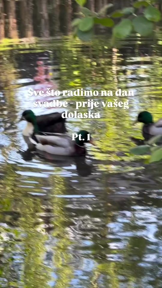 TikTok video thumbnail by imanjeluna