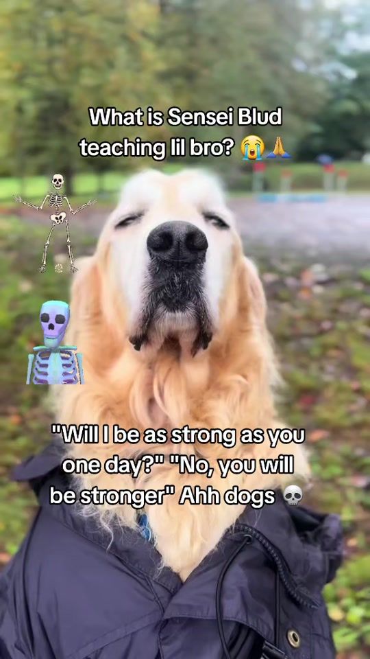 TikTok video thumbnail by shitpostingfouryou