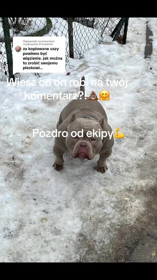 TikTok video thumbnail by siwywiking