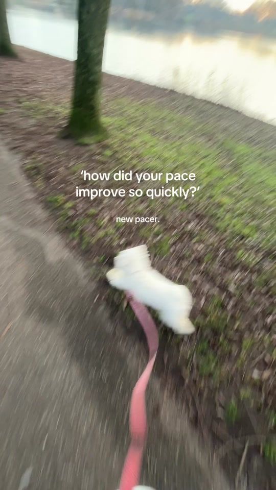 TikTok video thumbnail by criemiee