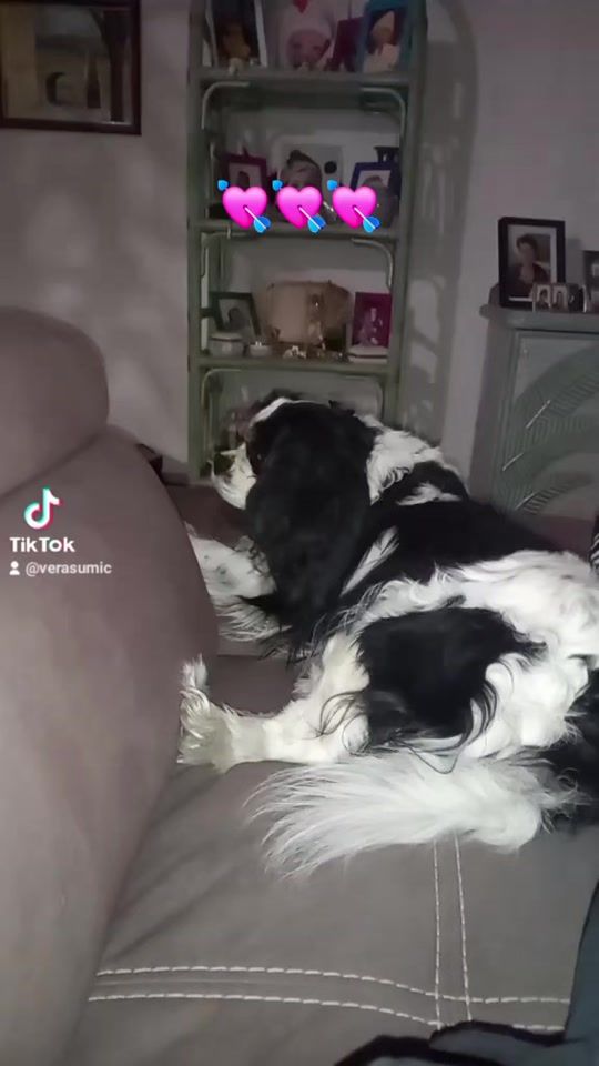 TikTok video thumbnail by verasumic