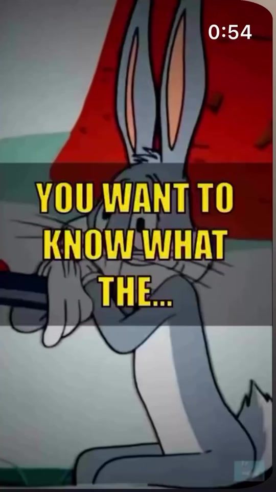 TikTok video thumbnail by wolfmellissen