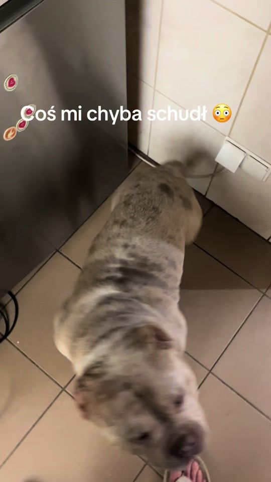 TikTok video thumbnail by siwywiking