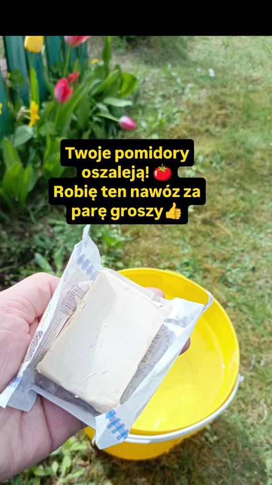 TikTok video thumbnail by chwilananature