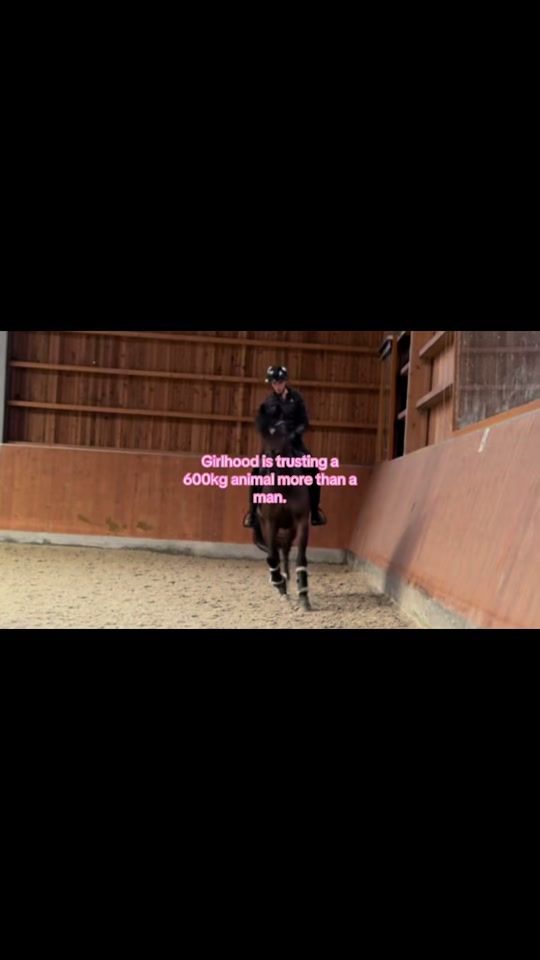 TikTok video thumbnail by lenaa_equest