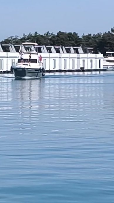TikTok video thumbnail by edvin.1978