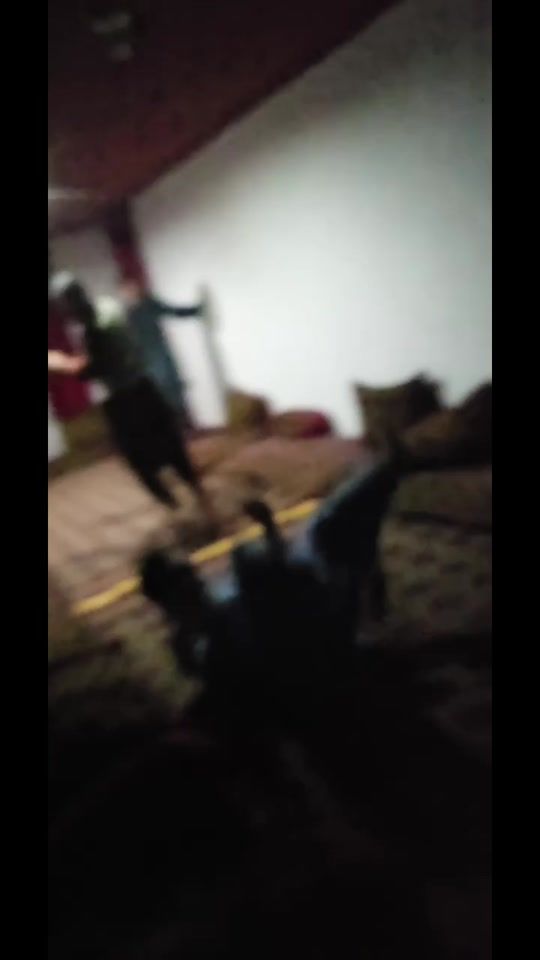 TikTok video thumbnail by obeidullah.313