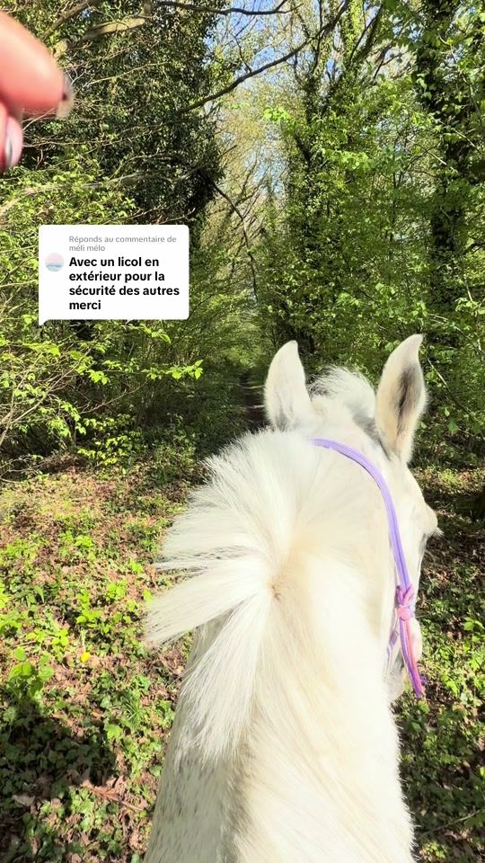 TikTok video thumbnail by lacavalierealafrange