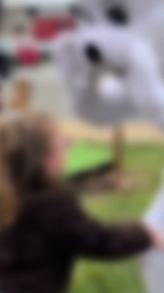 TikTok video thumbnail by giuliasmomandco