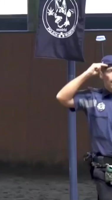 TikTok video thumbnail by k9andsports