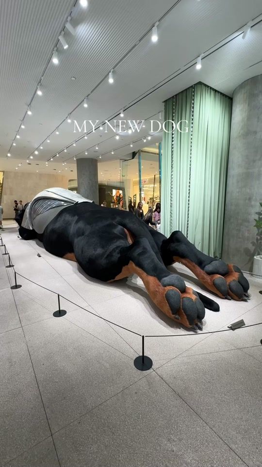 TikTok video thumbnail by insecthaus_adi