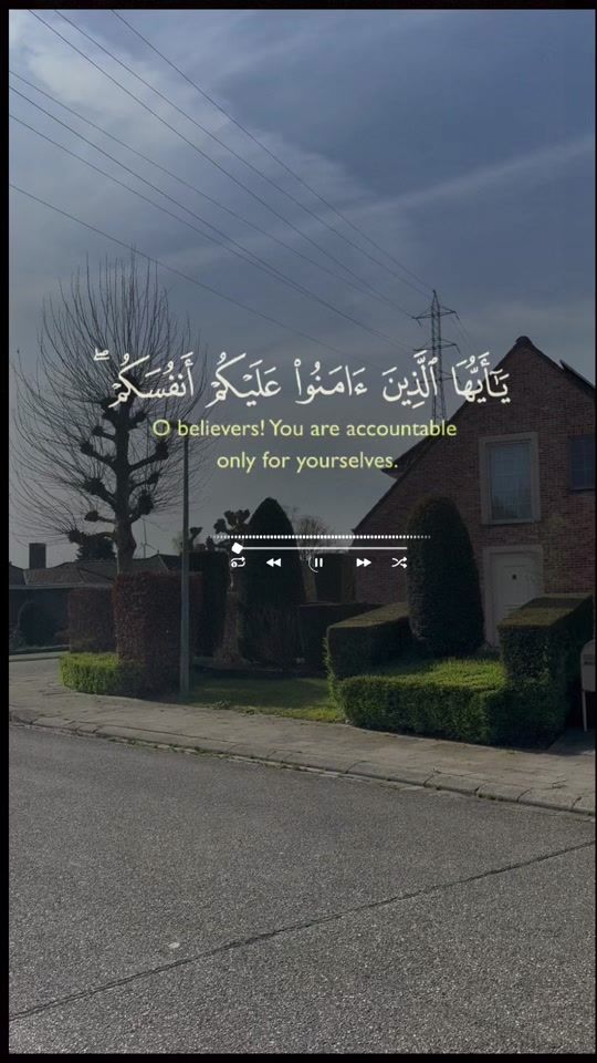 TikTok video thumbnail by mesho2500
