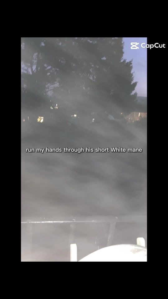 TikTok video thumbnail by ravenous431