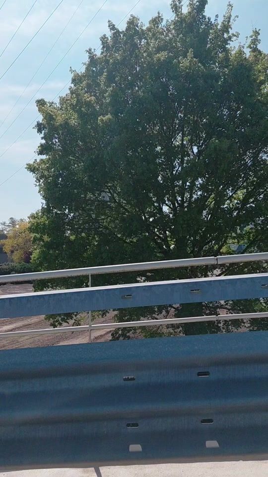 TikTok video thumbnail by samira_1000bx