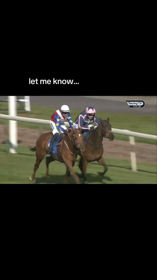 TikTok video thumbnail by kj___equestrian