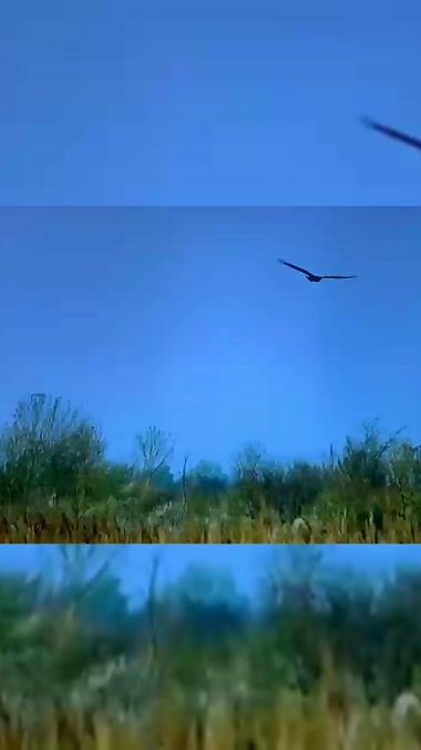 TikTok video thumbnail by a.j.dar