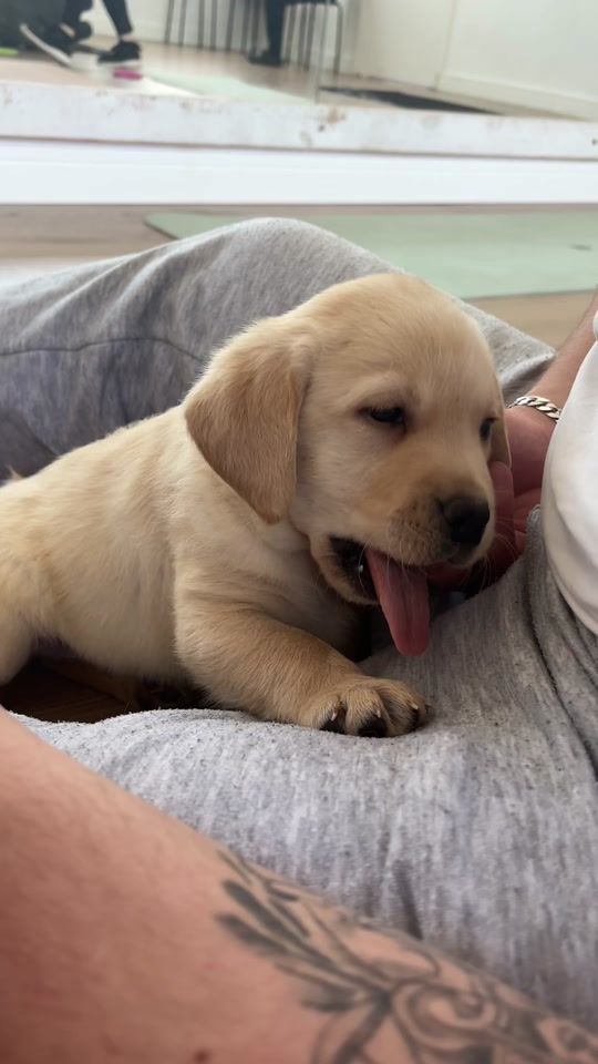 TikTok video thumbnail by julkakg