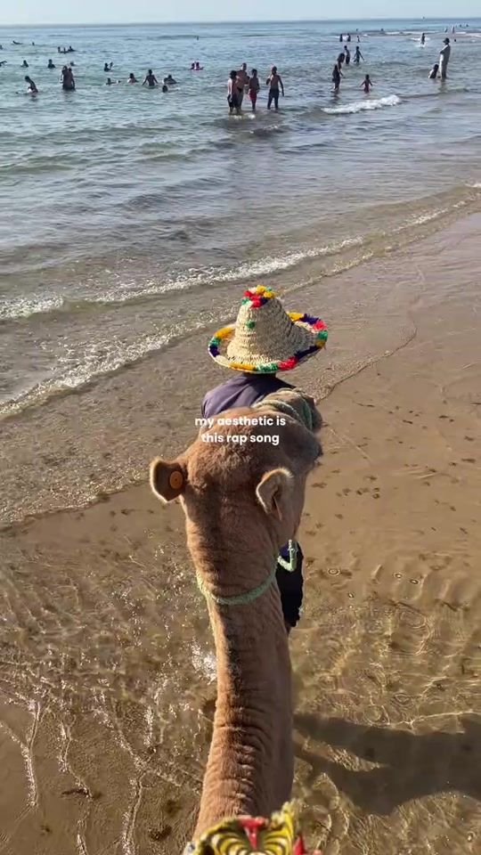 TikTok video thumbnail by omiii_23