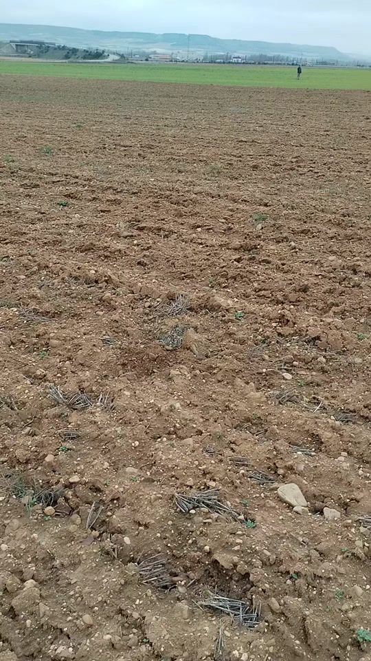 TikTok video thumbnail by _martinez_galgero