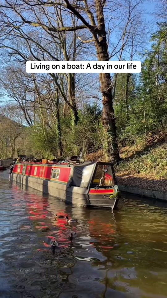 TikTok video thumbnail by adam.floatinghome