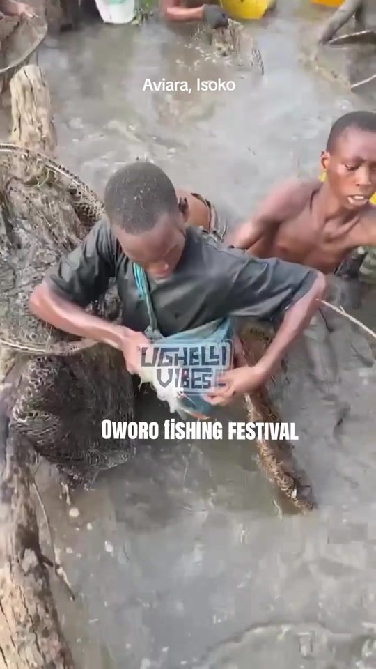 TikTok video thumbnail by urhobonation