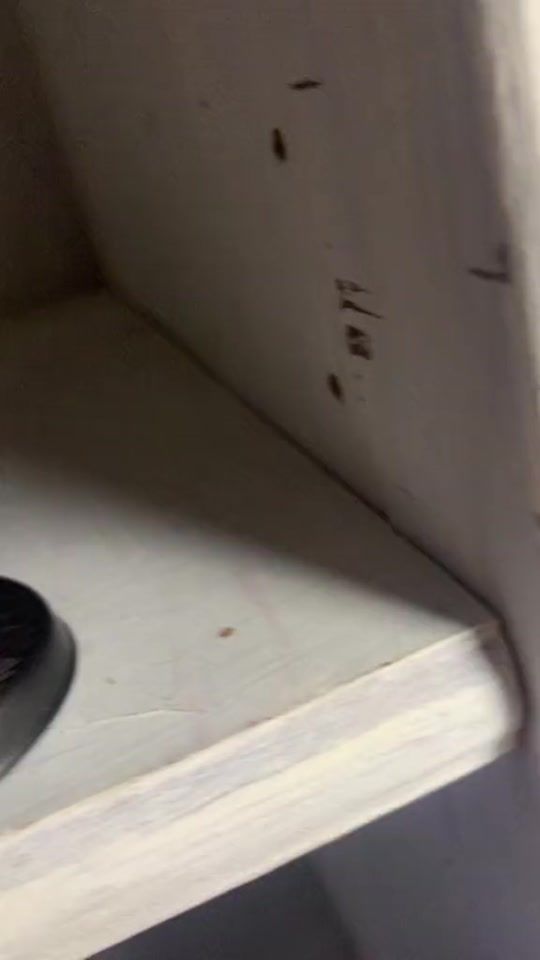 TikTok video thumbnail by mhxsam