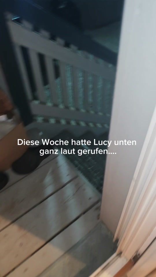 TikTok video thumbnail by sunny_love_cats