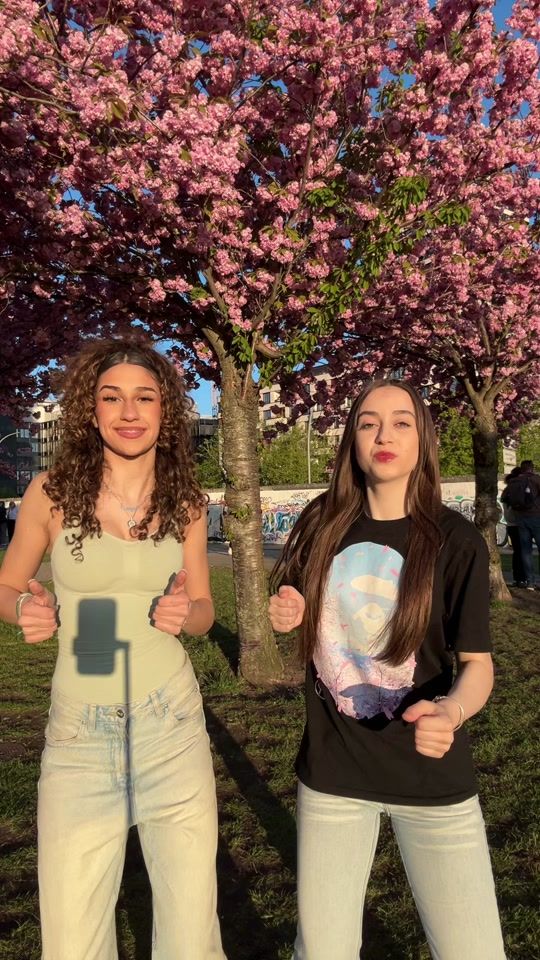 TikTok video thumbnail by vibe.alisa