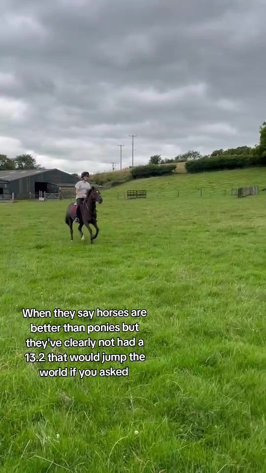 TikTok video thumbnail by thatspottyharley