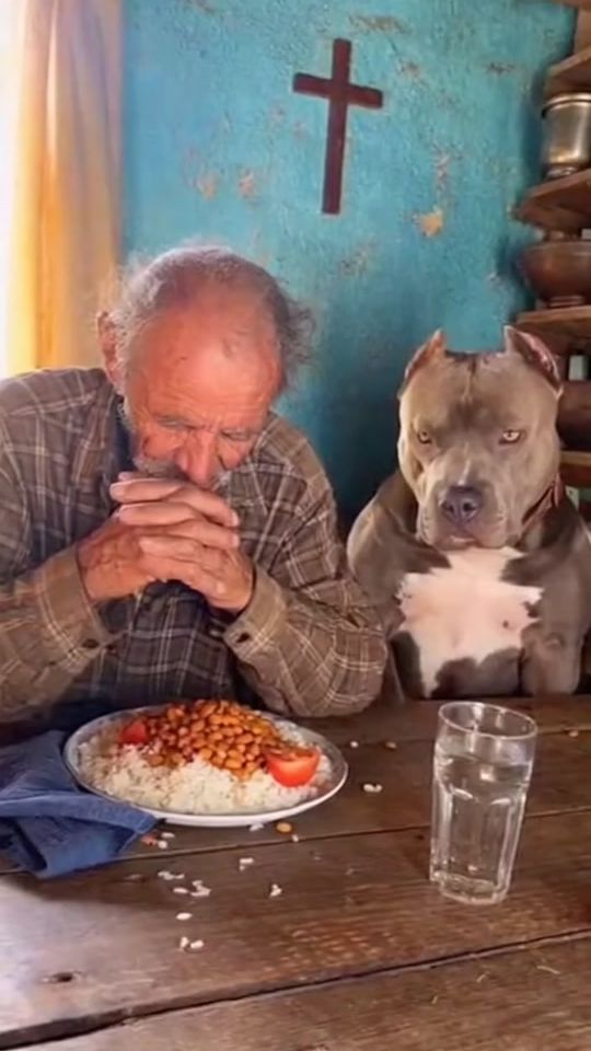 TikTok video thumbnail by ollis111