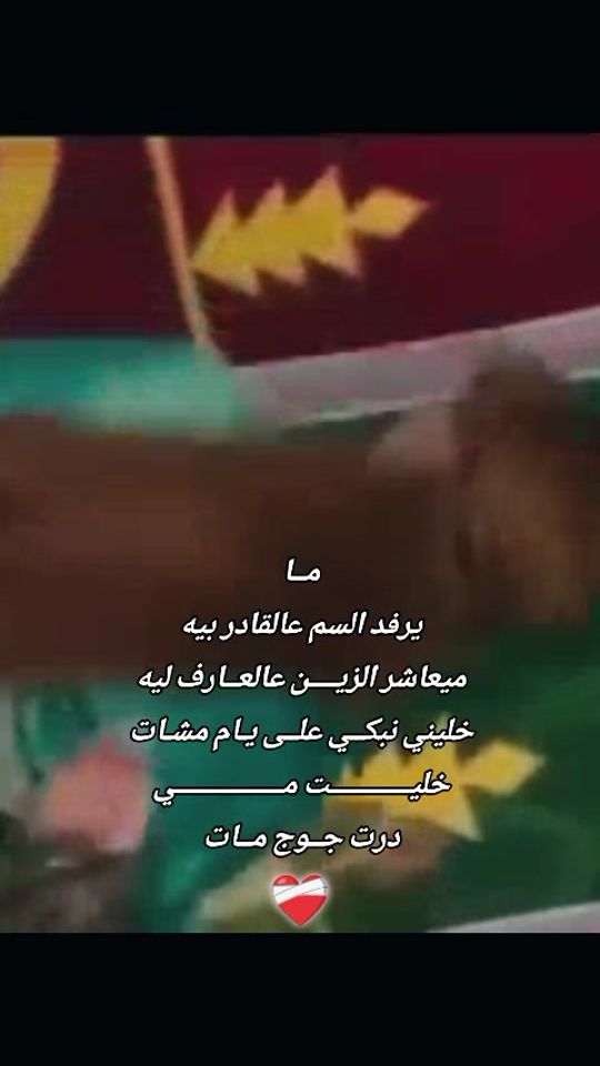 TikTok video thumbnail by bilal_lazaro