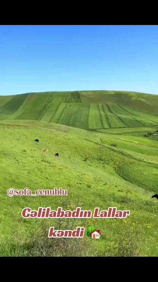 TikTok video thumbnail by sofa_cenublu