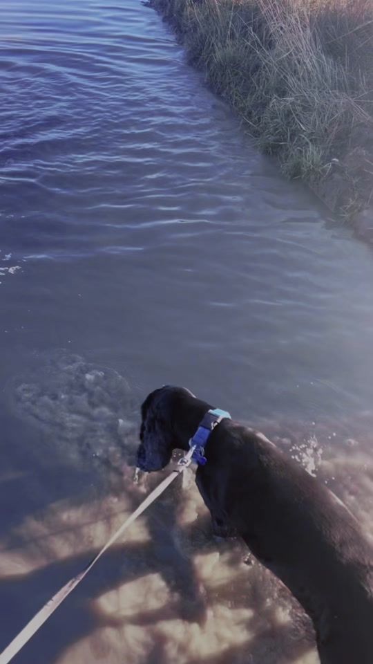 TikTok video thumbnail by dadlad90