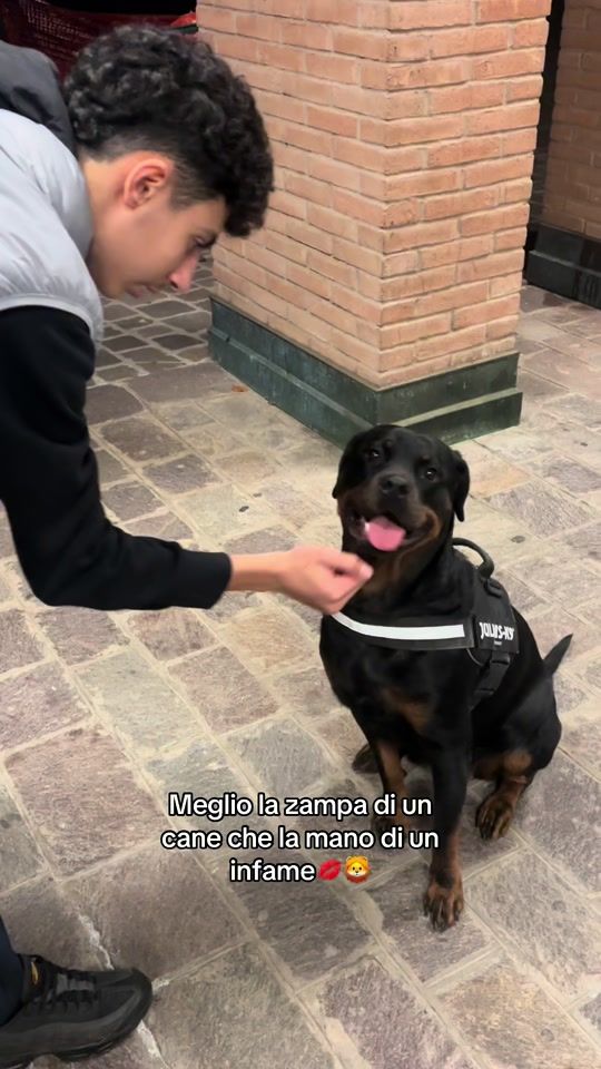 TikTok video thumbnail by masryy47