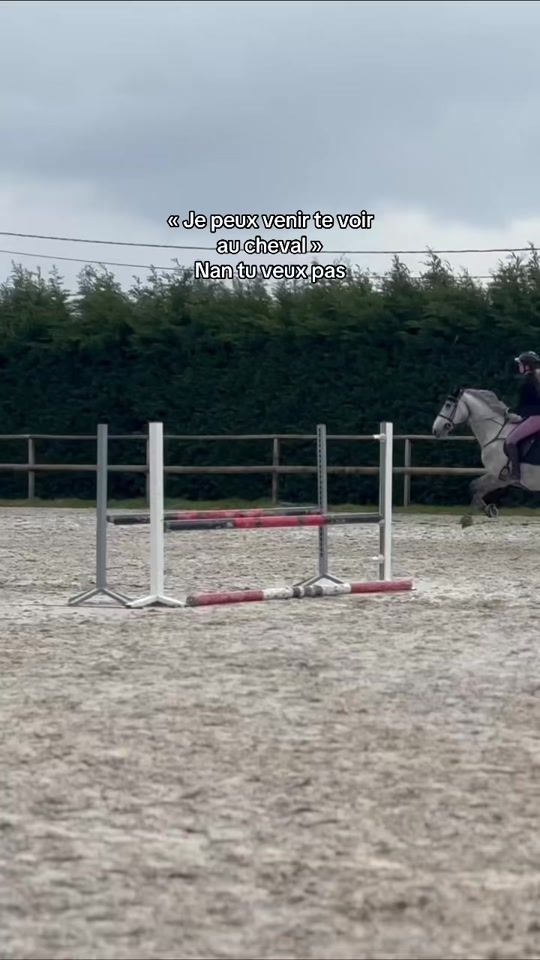 TikTok video thumbnail by ines_jumping